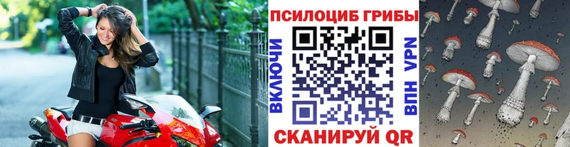 купить наркотик  Усть-Кут  Псилоцибиновые грибы Cubensis 
